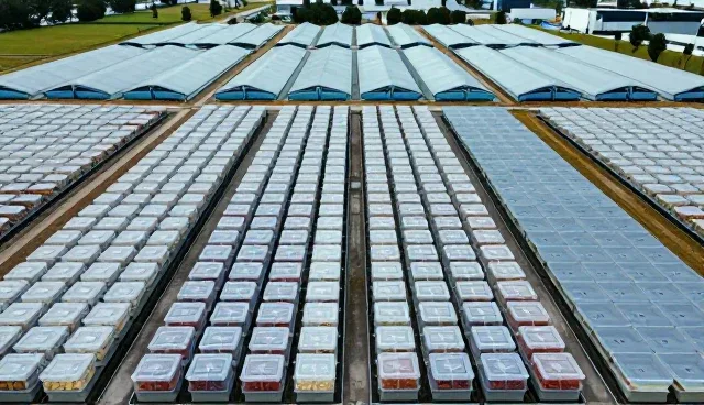 来料加工适用条件分析及选型关注点